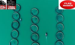 Denizi Olmayan İlde Balıklara Talep Yağıyor