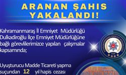 12 Yıl Hapis Cezalı Hükümlü Yakalandı