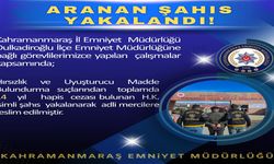 14 Yıl Hapis Cezası Bulunan Firari Yakalandı