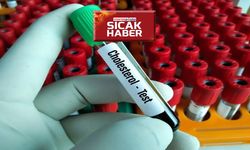 Kolesterolü düşüren içecekler nelerdir?