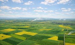 Alpu Ovası İçin Eskişehir’den Bir Hukuk Zaferi