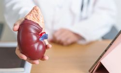 Dünya Böbrek Günü: 850 milyon kişiyi etkileyen hastalık