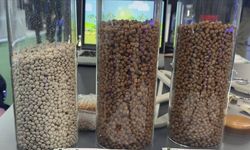 Türk girişimci Paris'te ihracat ağını büyütüyor