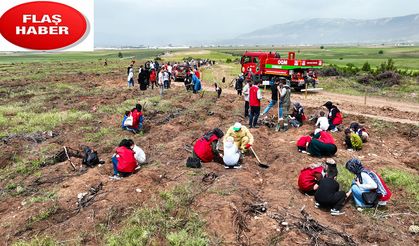 Çokyaşar Engelsiz Orman Dikim Alanı törenle açıldı
