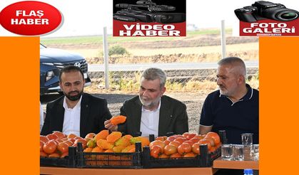 Topraktan Sofraya Bereket Zincirine Görgel’den Destek
