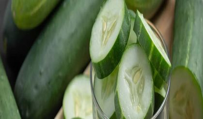 Salatalığın Faydaları Nelerdir? Salatalık Neye İyi Gelir?