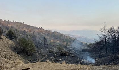 Orman Bölge Müdürlüğünden önemli açıklama