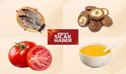 Hangi besinler en fazla besin içerir?