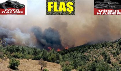 Göksun Kavşut’taki orman yangını kontrol altında