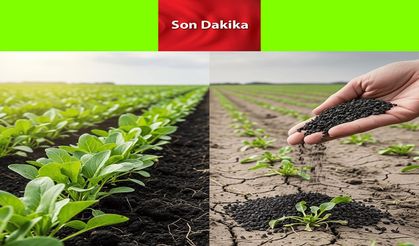 Türk Tarım Sektörünün Kurtuluş Reçetesi: Leonardit