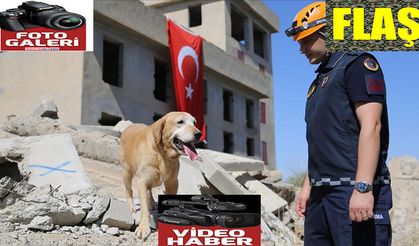 "Pusat" jandarmanın en büyük yardımcısı