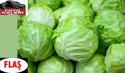 Sağlığınız için hangi besinler faydalıdır?