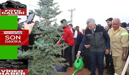 Çevre İllerde "Milli Ağaçlandırma Günü" Etkinliği Yapıldı