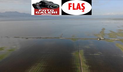 Yağışların Ardından Tarım Arazileri Su Altında Kaldı