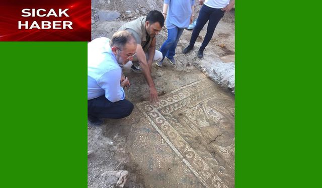 Efsus Turan Mozaik Kazısı'nda 1500 yıllık mozaik taban bulundu