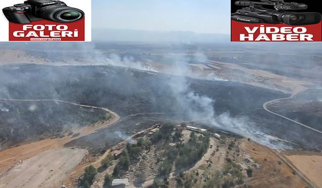 Ormanlık alanda çıkan yangın söndürüldü