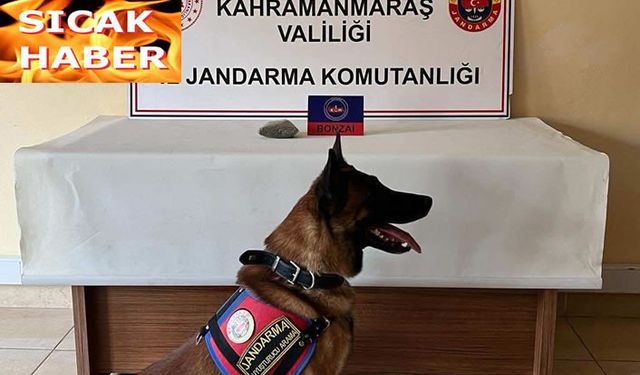 Uyuşturucu operasyonunda 3 şüpheli yakalandı