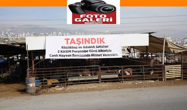 Adaklık Satış Merkezi Canlı Hayvan Borsası’na taşınıyor