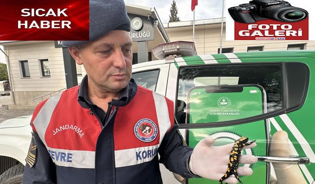 ‘Semender’e jandarma sahip çıktı
