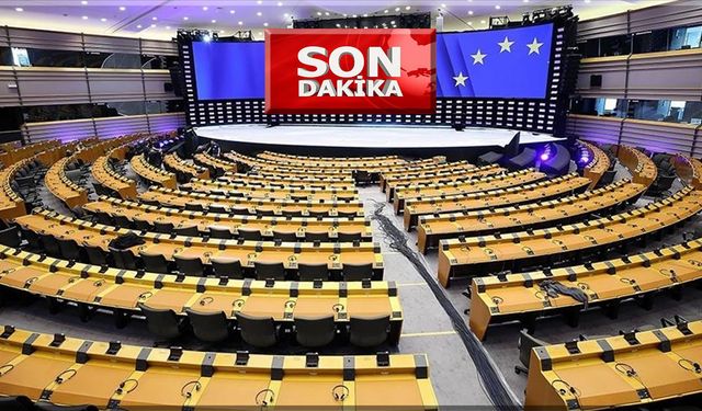 DAVA Partisinin Avrupa Parlamentosuna girmesi ne ifade edecek?