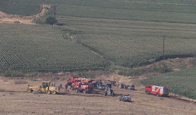 Çıkan orman yangınına müdahale ediliyor