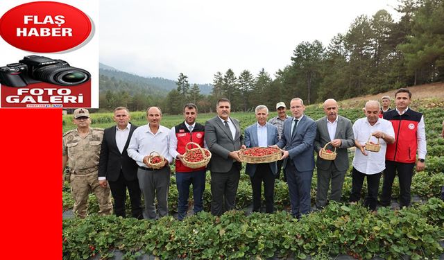 Çilek Üreticileri Birliğine, soğuk oda yaptırıldı