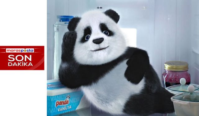 Türkiye’nin Efsane Dondurma Markası Panda’ya Ne Oldu?