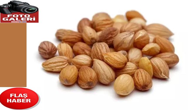 Kandaki şekeri terazi gibi dengeliyor!