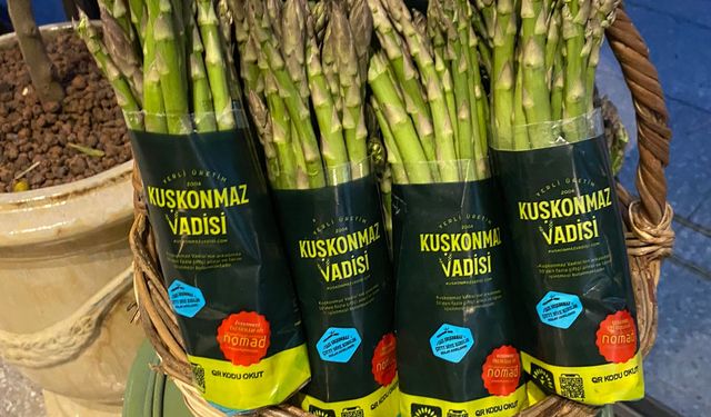 Sparga1 Tarım A.Ş. Türkiye’de kuşkonmaz üretiminde yeni bir dönem başlatıyor