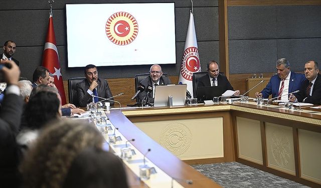 TBMM Zirai Don Olayını Araştırma Komisyonu toplandı