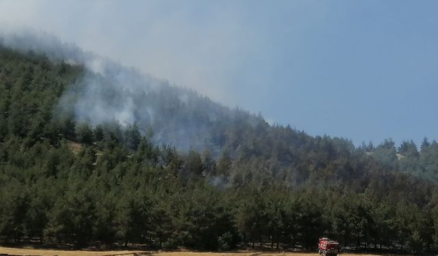 Dulkadiroğlu’ndaki orman yangını kontrol altına alındı