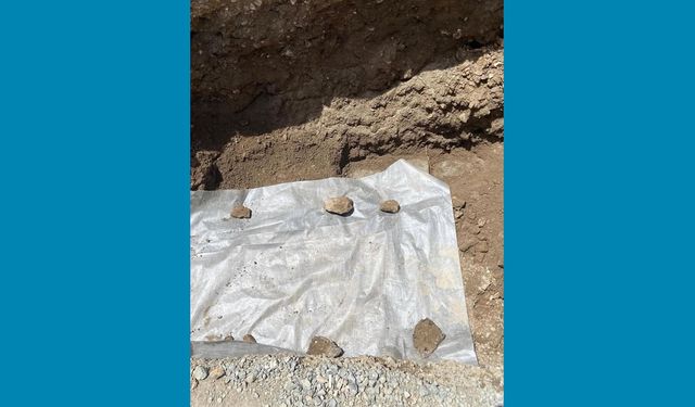 Taban Mozaiği Koruma Altında