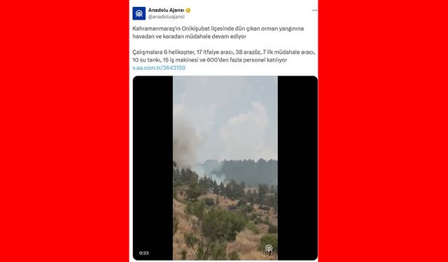 Kahramanmaraş'taki orman yangını sürüyor