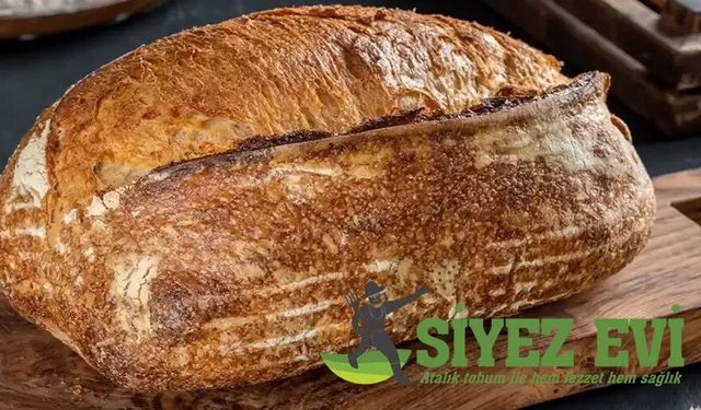 Neden Ekşi Mayalı Ekmek Tüketmeliyiz?