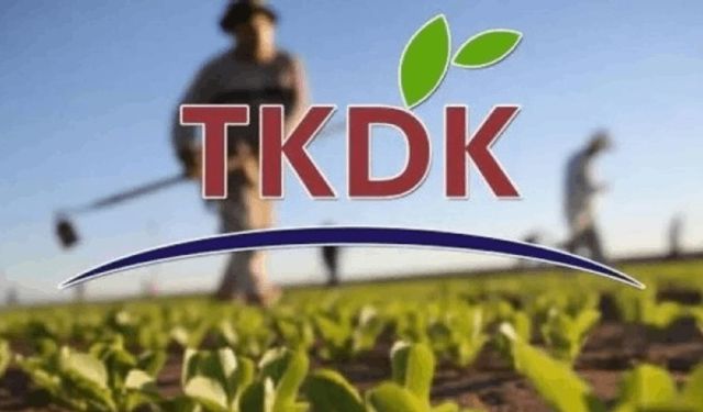 81 İlde Girişimcilere 42 Milyon Avro Destek