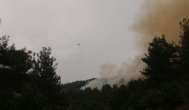 Çamlıbel kırsalında orman yangını çıktı