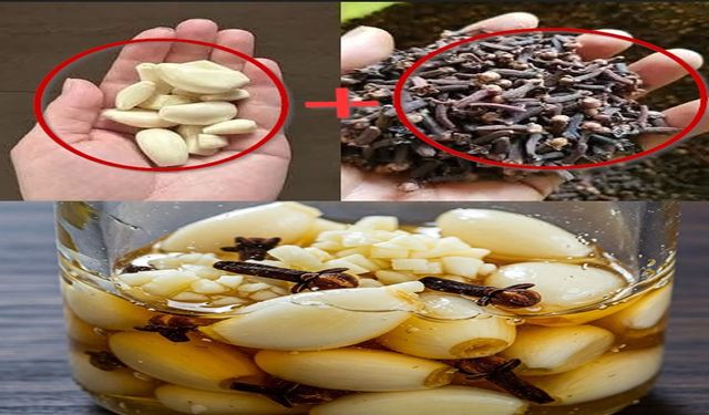 Doğanın Gizli Şifa Kaynağı: Sarımsak-Bal-Karanfil