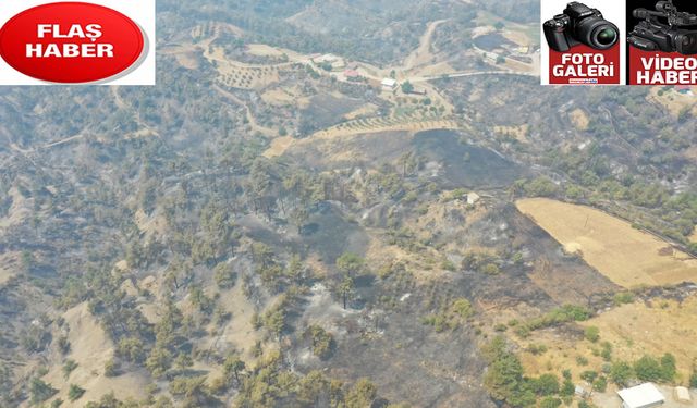 Orman yangınına müdahale 2. Gününde sürüyor