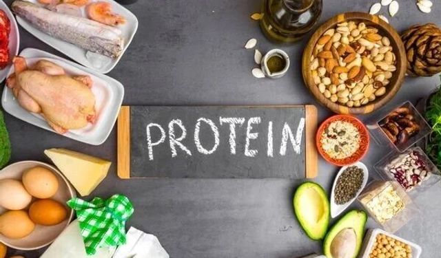 En iyi proteinli besin hangisidir?