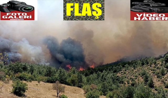 Göksun Kavşut’taki orman yangını kontrol altında