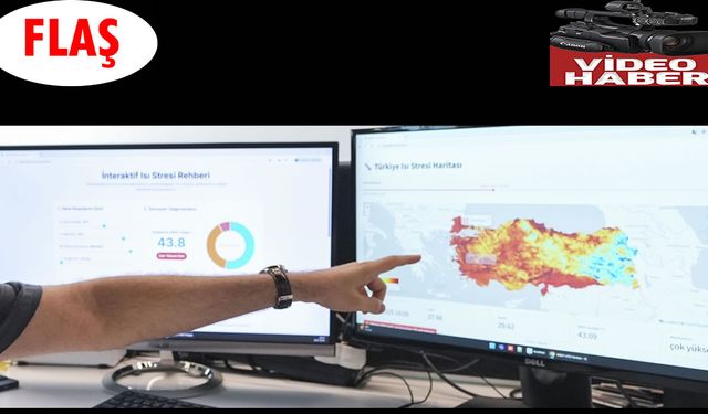 Türkiye'de ilk kez tasarlanan ısı stresi rehberi ve haritası erişime açıldı