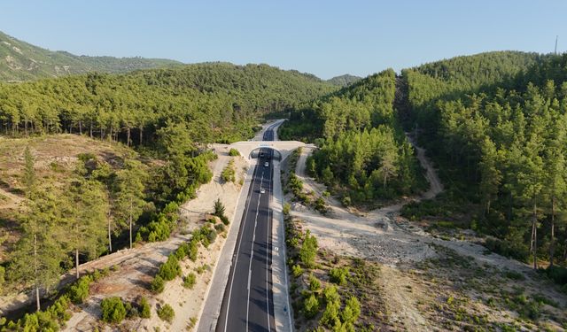 Antalya'nın ekolojik köprüsü yaban hayatını koruyor