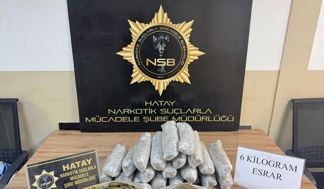 Hatay'da uyuşturucu operasyonunda yakalanan 2 zanlı tutuklandı