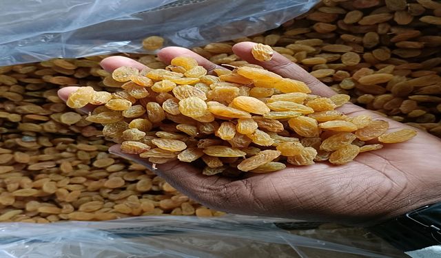 Kuru üzüm üzüm kadar sağlıklı mı?