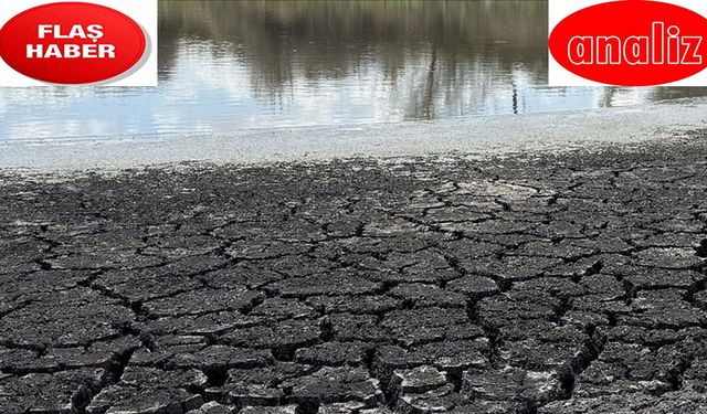 İklim değişikliği gölgesinde su krizi: Türkiye'de kuraklık riski nasıl önlenebilir?