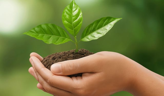 İzocam’dan Bir İlk: Sürdürülebilirlik Raporu Yayınlandı!