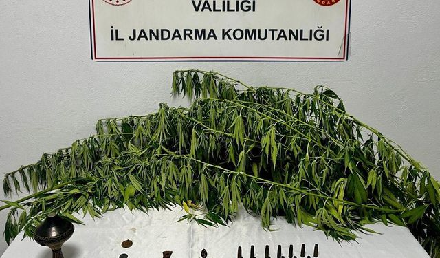 PKK'ya Ait Yaşam Malzemeleri Ele Geçirildi