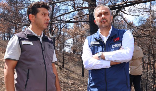 Toptaş, Çamlıbel-Çakırdere’deki mühürleme çalışmalarını inceledi