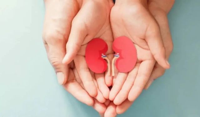 Böbrekleriniz için bu besinleri tüketmeyi bırakın