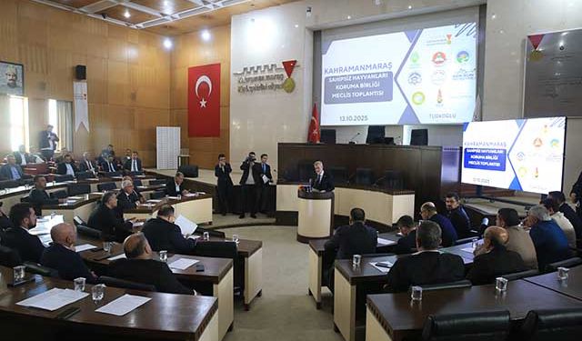 "Sahipsiz Hayvanları Koruma Birliği" kuruldu